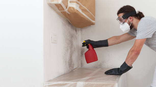 Professional Commercial Mold Remediation technician working in Malden, MA