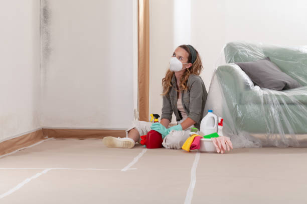 Reliable Commercial Mold Remediation contractor in Malden, MA by WQB Mold Removal